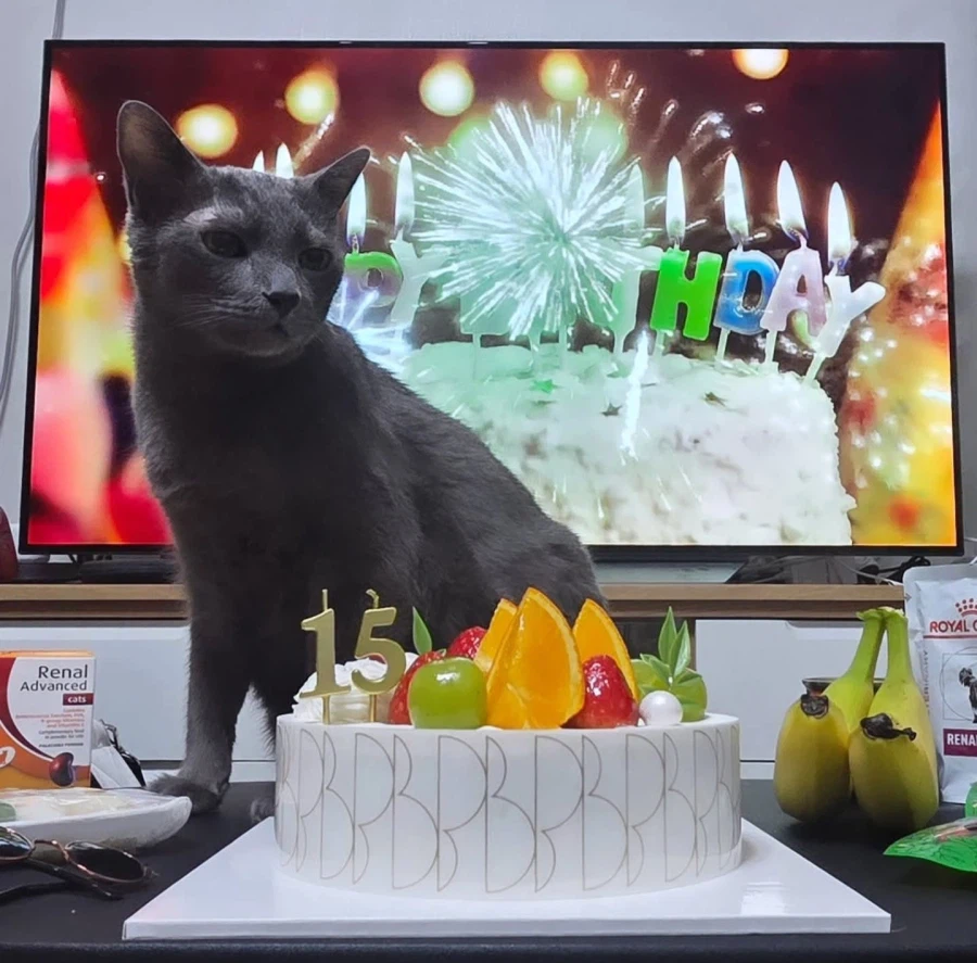 [라온이의 15번째 생일! 15년 압축 돌아보기]_137.webp