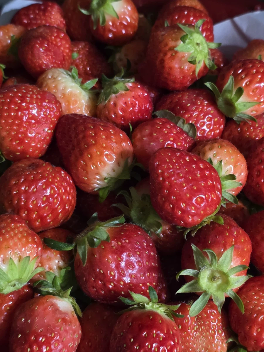 안녕하십니까 최근에 마신것 모음집.jpg_5.webp