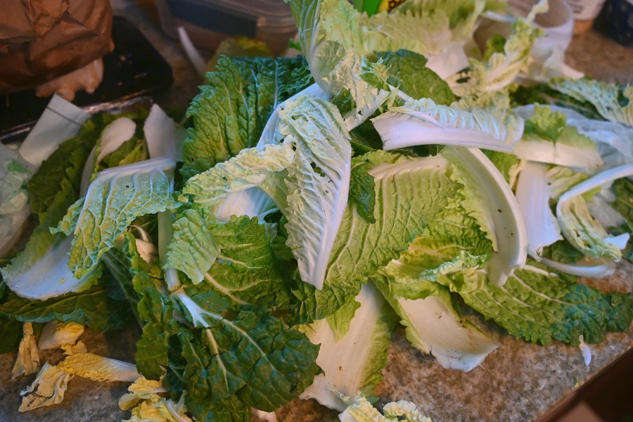 새우만두랑 대충 끼려묵는 라면;ㅎ_5.webp