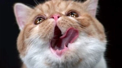 휴 저혈당 쇼크 또 왔다_2.webp