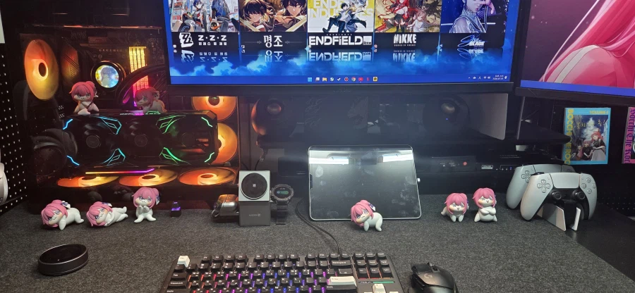 데스크를 점령한 도로롱_2.webp