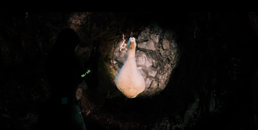 코드 바이올렛 리뷰_13.webp