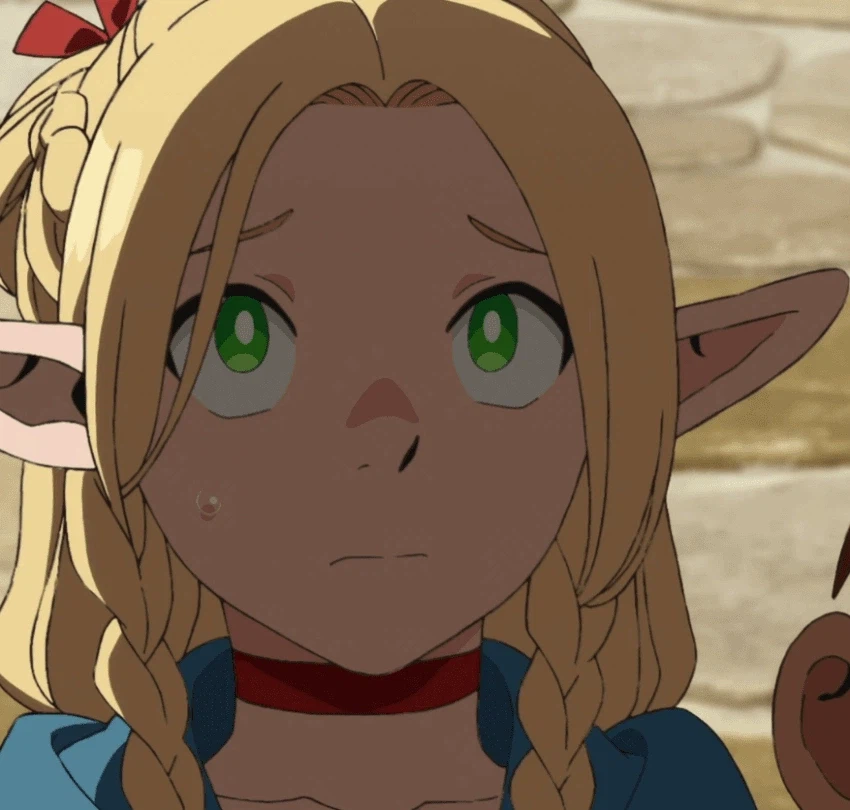 던전밥)스포)후대 역사학에 이상하게 곡해될 문장들_3.webp