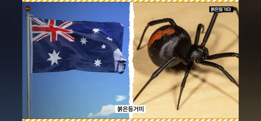 아동명작 애니메이션이 호주에서 검열당한이유_16.webp