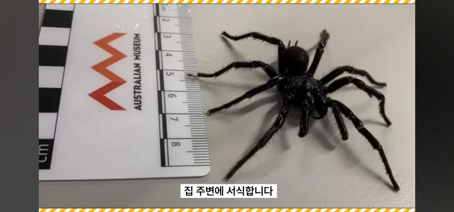 아동명작 애니메이션이 호주에서 검열당한이유_19.webp