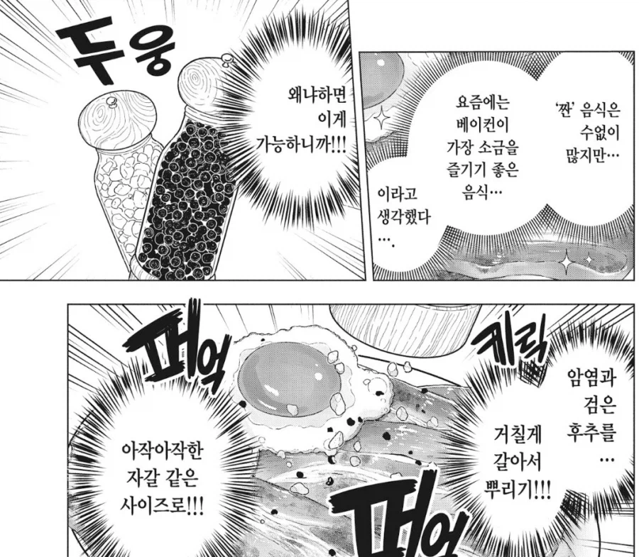 베이컨에 뿌려먹으면 맛있는거_5.webp