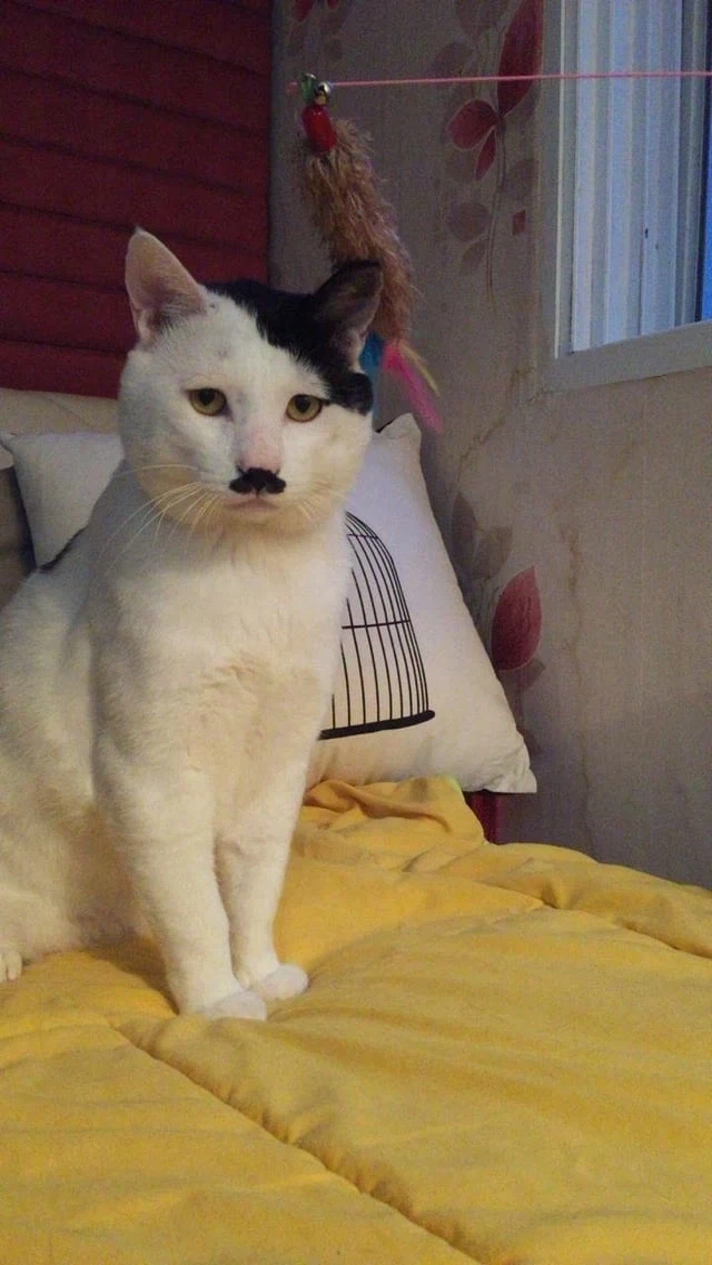 이번주 라이브 언제한다고 아직 안나왔져..?_1.webp