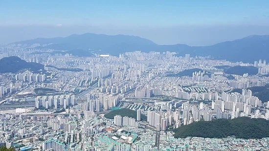 죄송합니다. 사과의 의미로 메로나를 뿌리겠습니다._1.webp