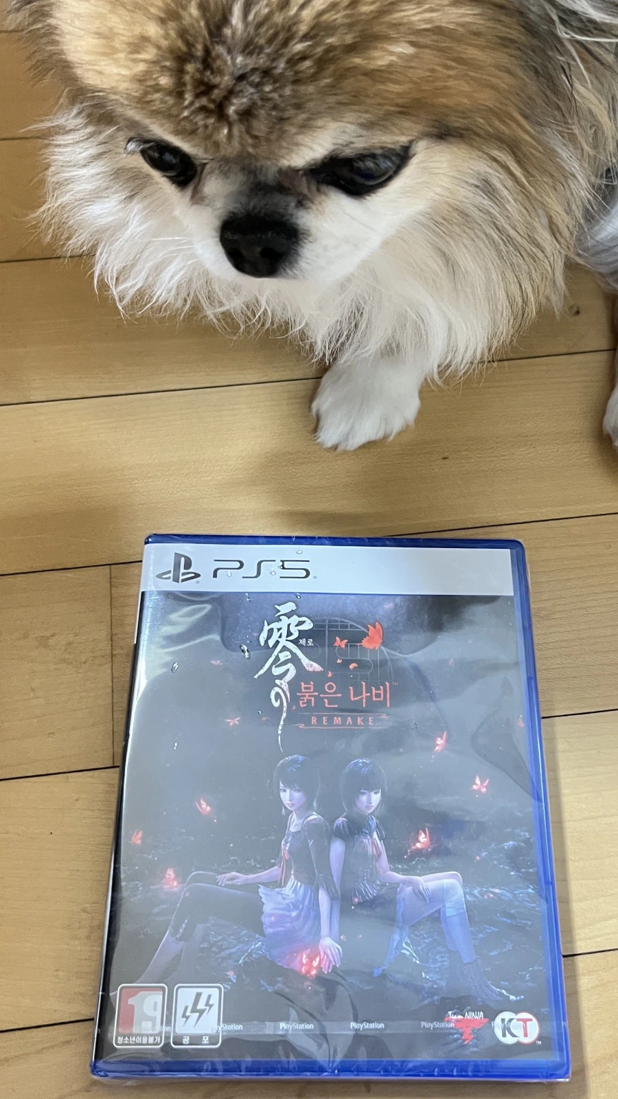 게임산거 배달 왔다_1.webp