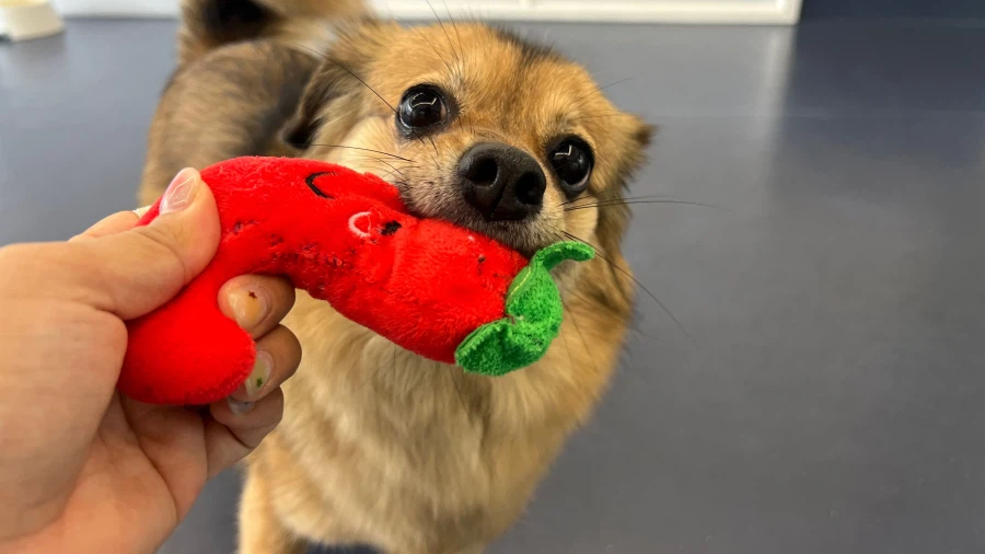 사람 많으니 범죄 좀 저지르겠습니다_5.webp