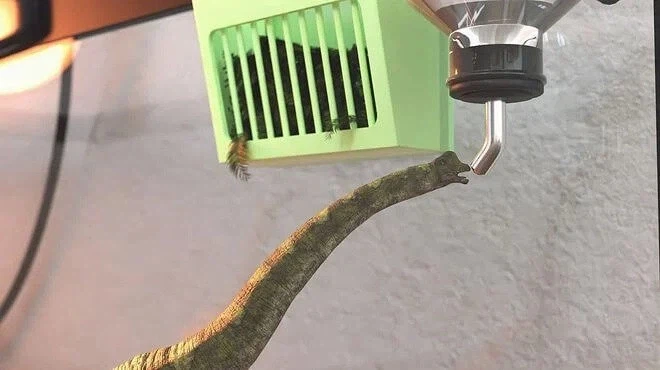 요즘 유행하는 애완동물_2.webp