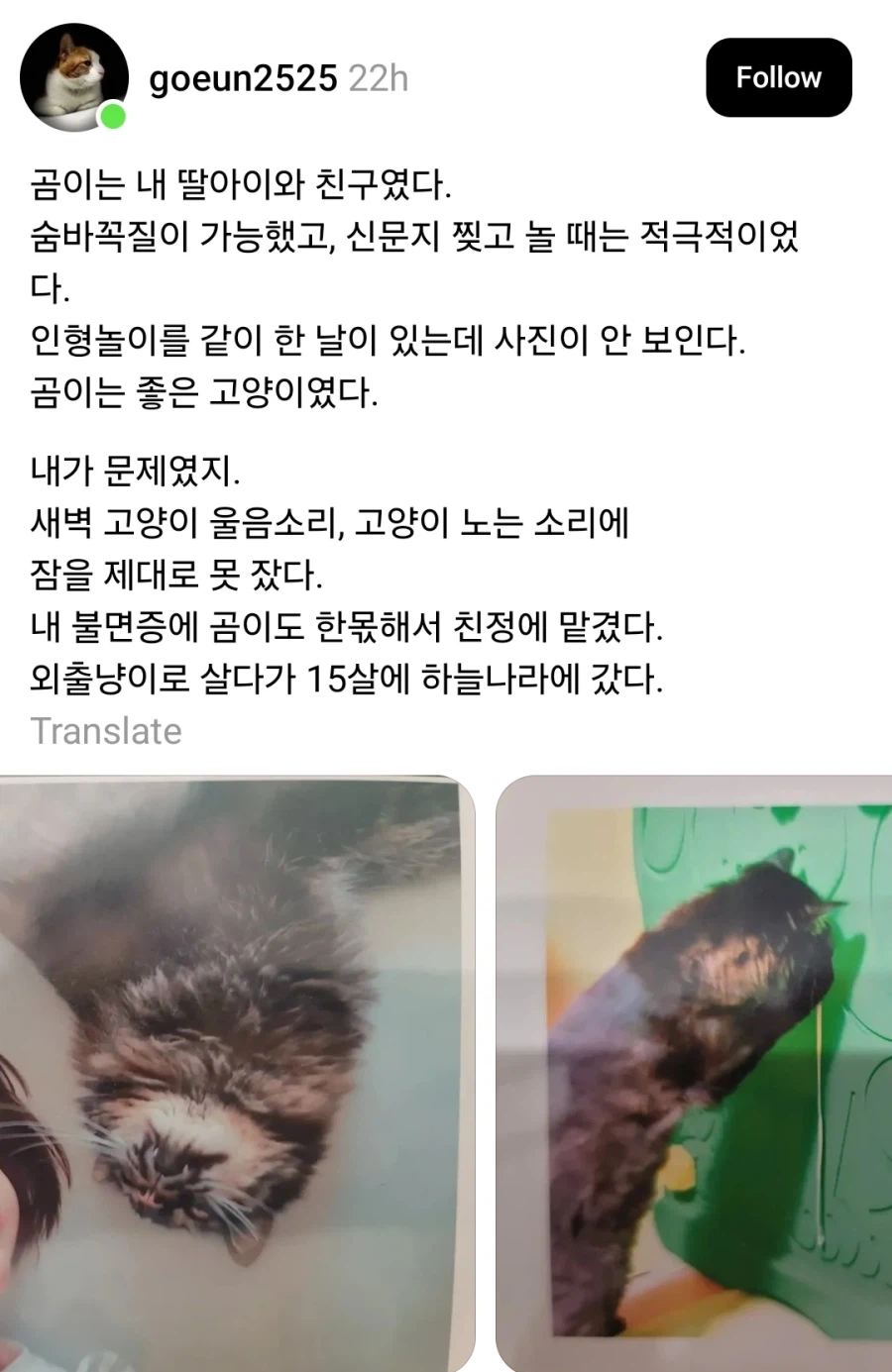 고양이 때문에 불면증 생겼다는 아줌마_1.webp