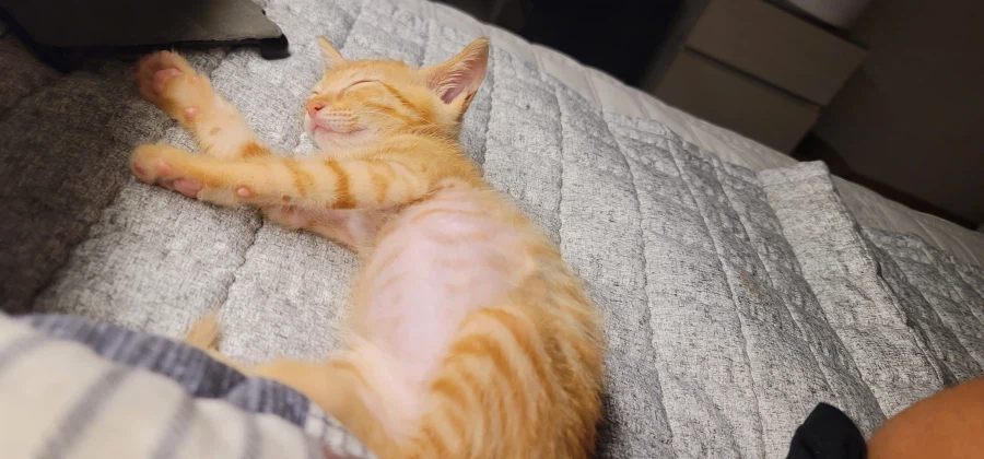 어린이 성장과정_6.webp