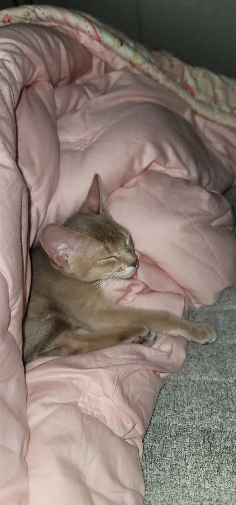 어린이 성장과정_15.webp