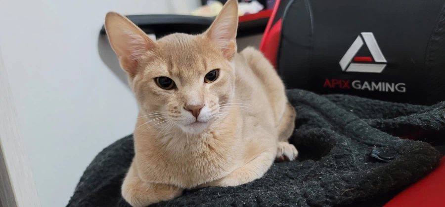 어린이 성장과정_17.webp