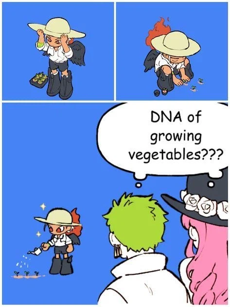 원피스) 미호크 세라핌이 제일 잘할것 같은것_1.webp