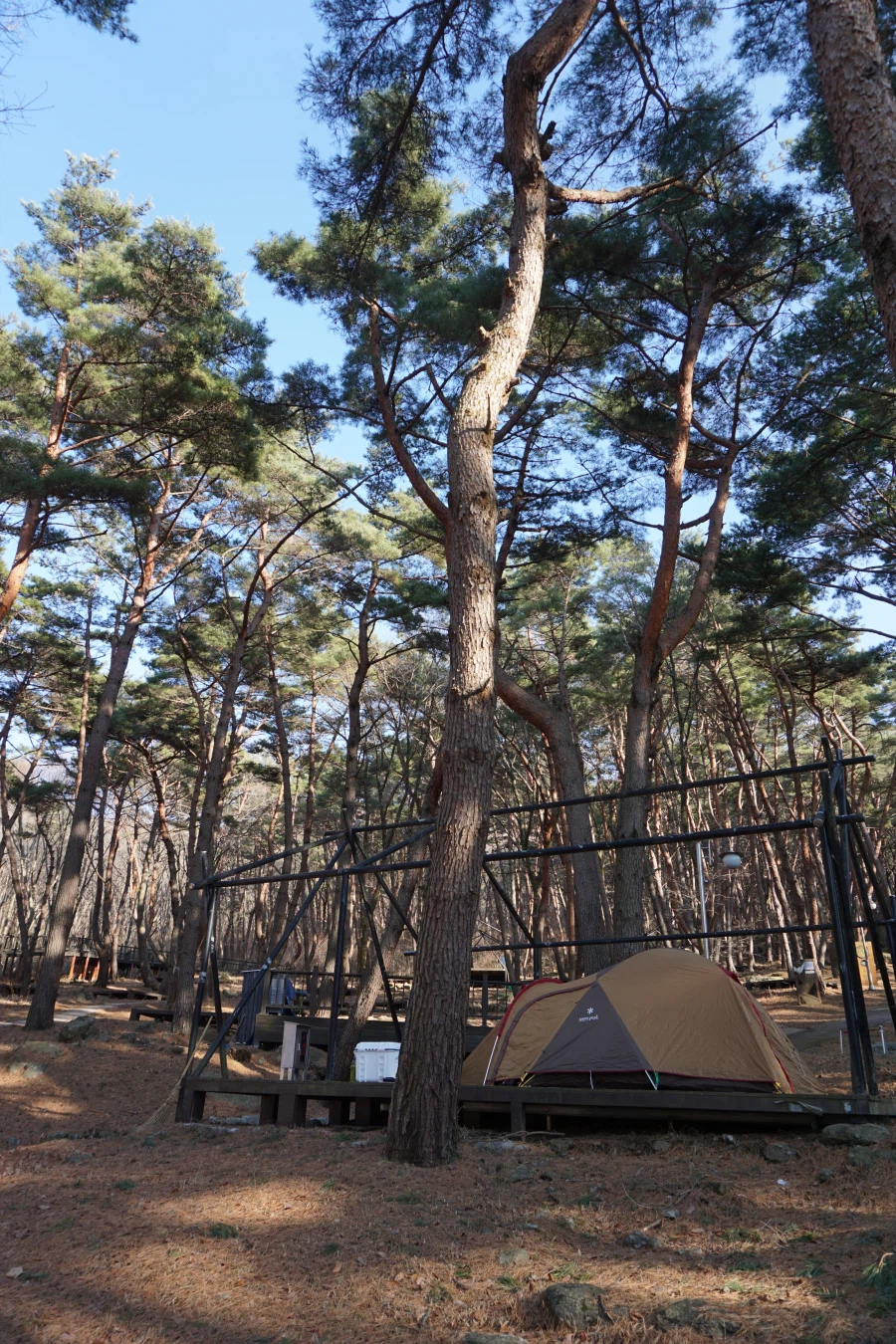 추위에서 돌아온 아재의 혼술_1.webp