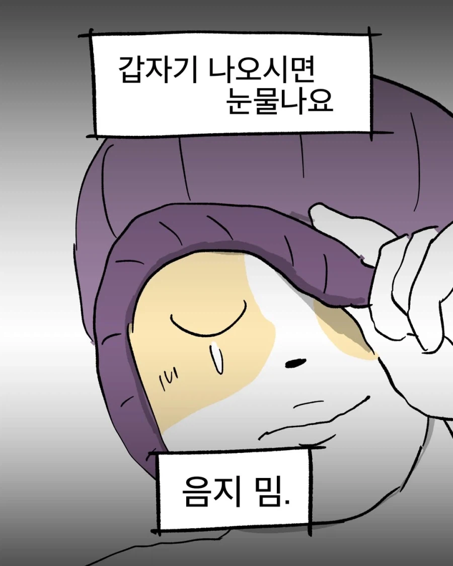 모르면 당하는 음지 밈을 사용했다.manga_12.webp