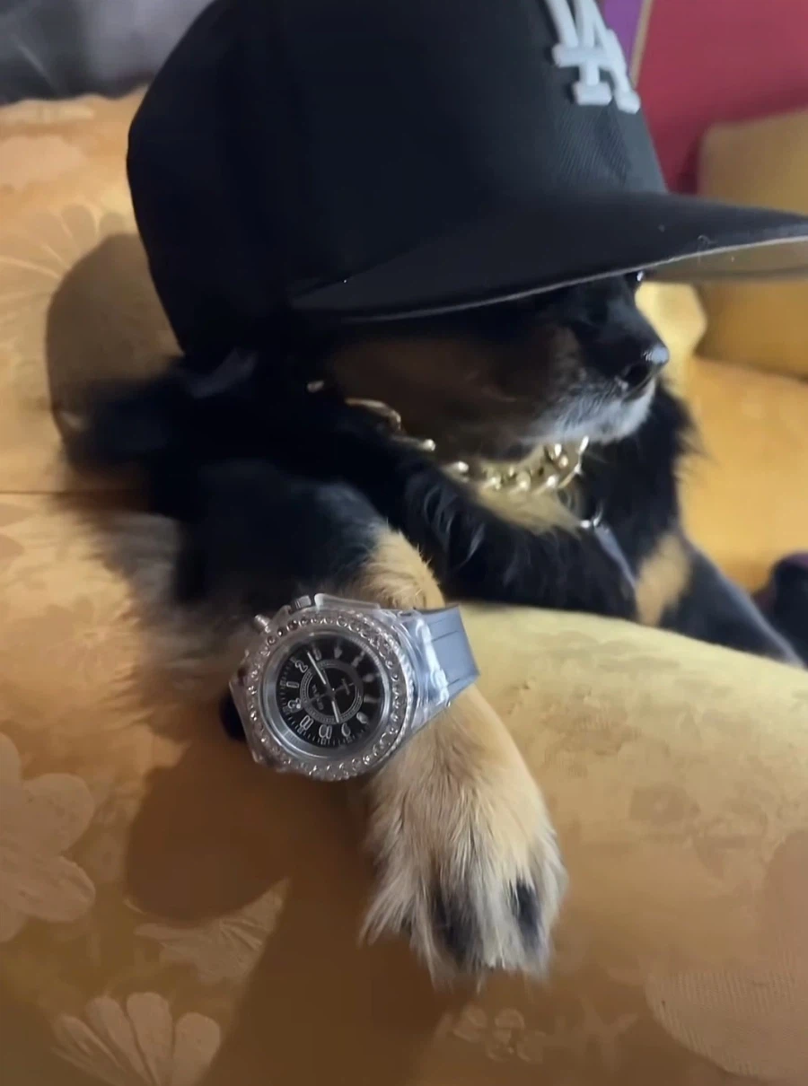 여기도 트럼프 욕하라는 알바들 풀었겠지?_1.webp