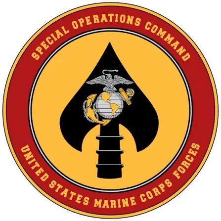 스킨 좋네요_2.webp