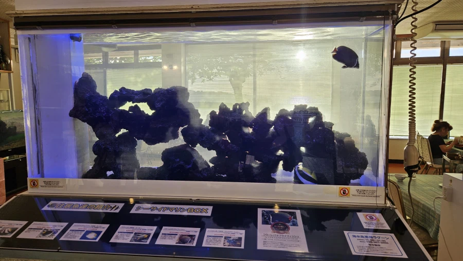 [일본]오키나와 최초의 드라이브인 레스토랑 씨사이드 드라이브인_11.webp