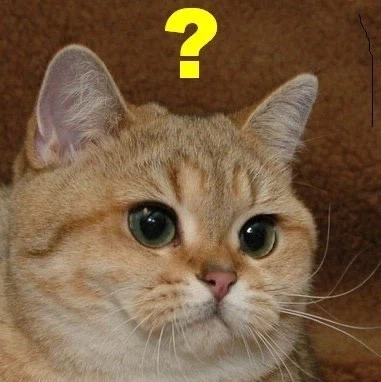 붉은사막) 엠바고 해도 진실을 말하는 사람은 나오곤 했을탠데_1.webp