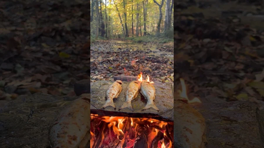 "자연의 돌판으로 청어 굽기"_1.webp