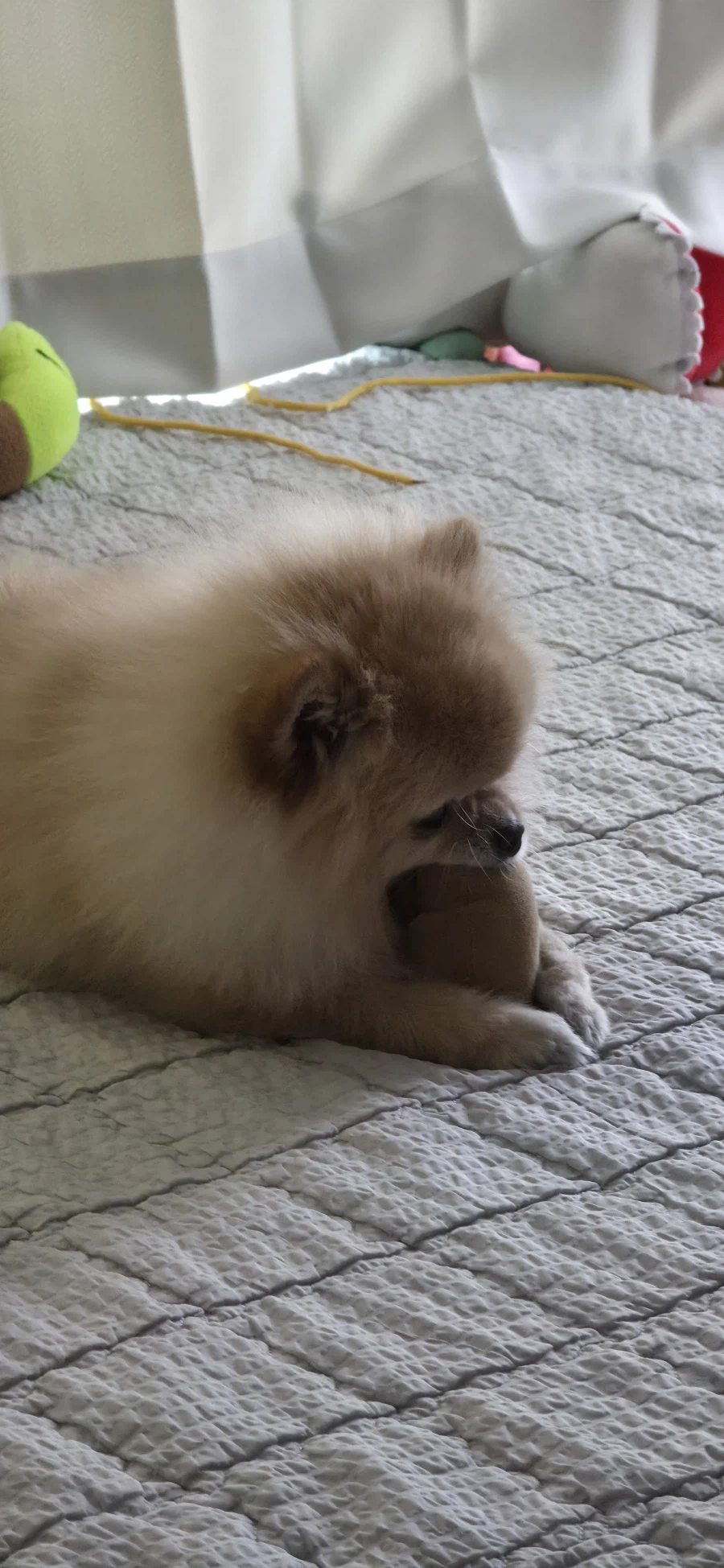 유게이들아 고맙다_3.webp