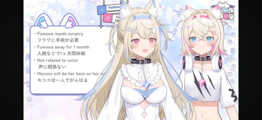 버튜버) 지금 목소리랑 관계없는 쪽이라는거면_1.webp