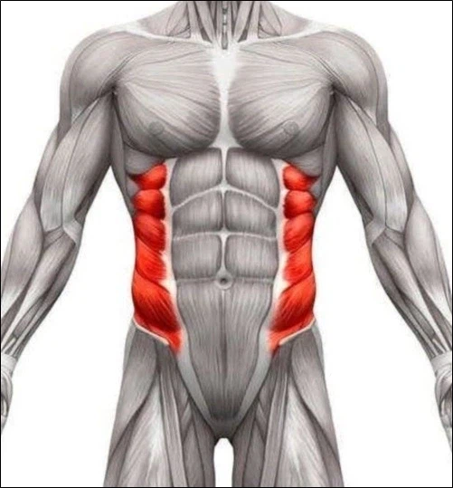 기침이나 재채기하기 전에 해야하는 것_1.webp