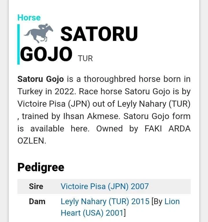 [말딸] 이게 고죠 사토루의 아버지임_2.webp