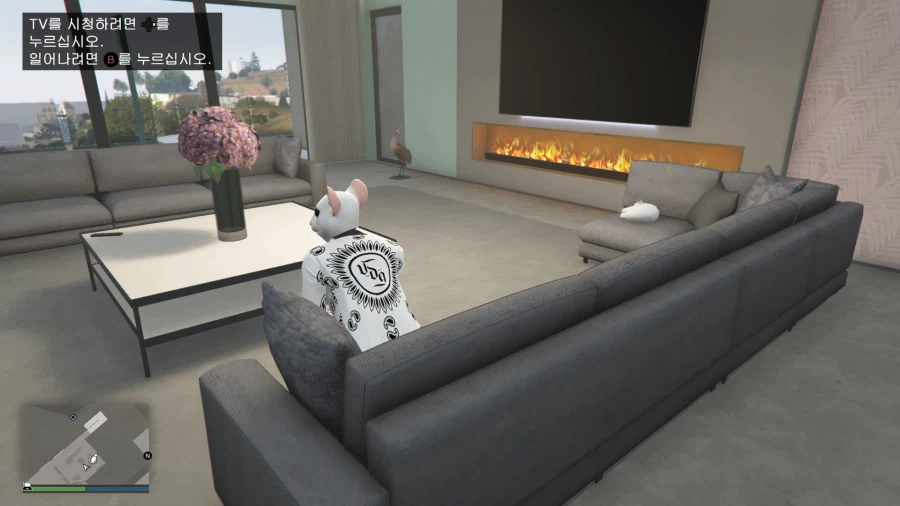 Gta 5 쥐순이로 고양이랑 노는데 웬 곰이_2.webp