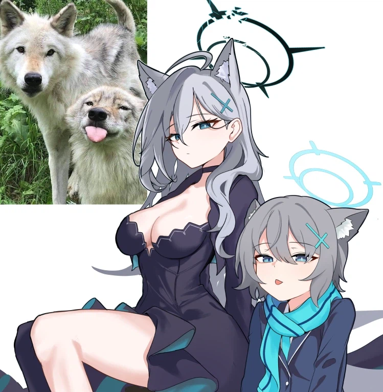 블루아카) 커다란 늑대와 함께 춤을.jpg_1.webp