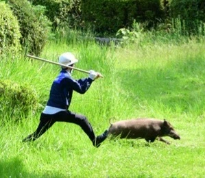 방탄 서울 와서 차 막힌다고 불평하는 사람들 보면 뭐 어쩌라는건지 몰르겠음_1.webp