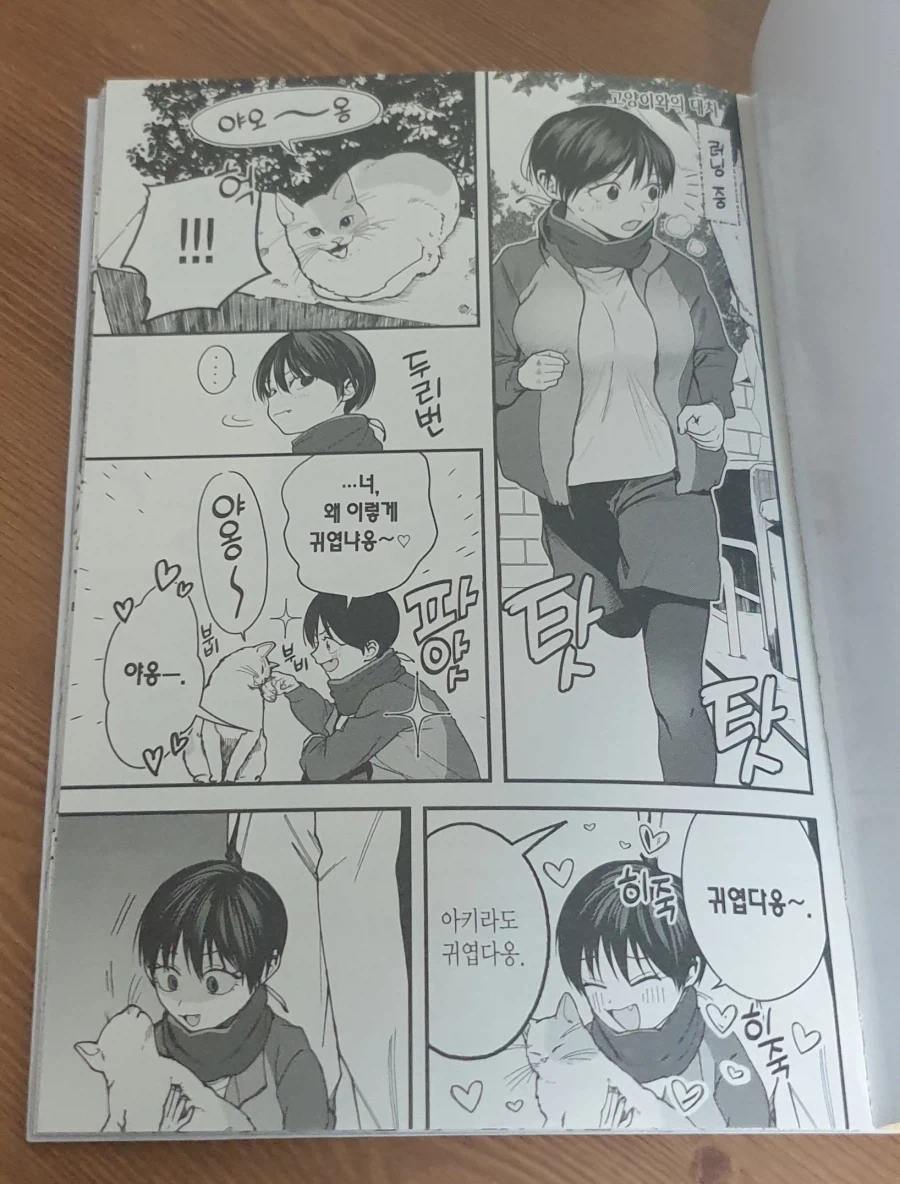 책을 사왔어요_4.webp