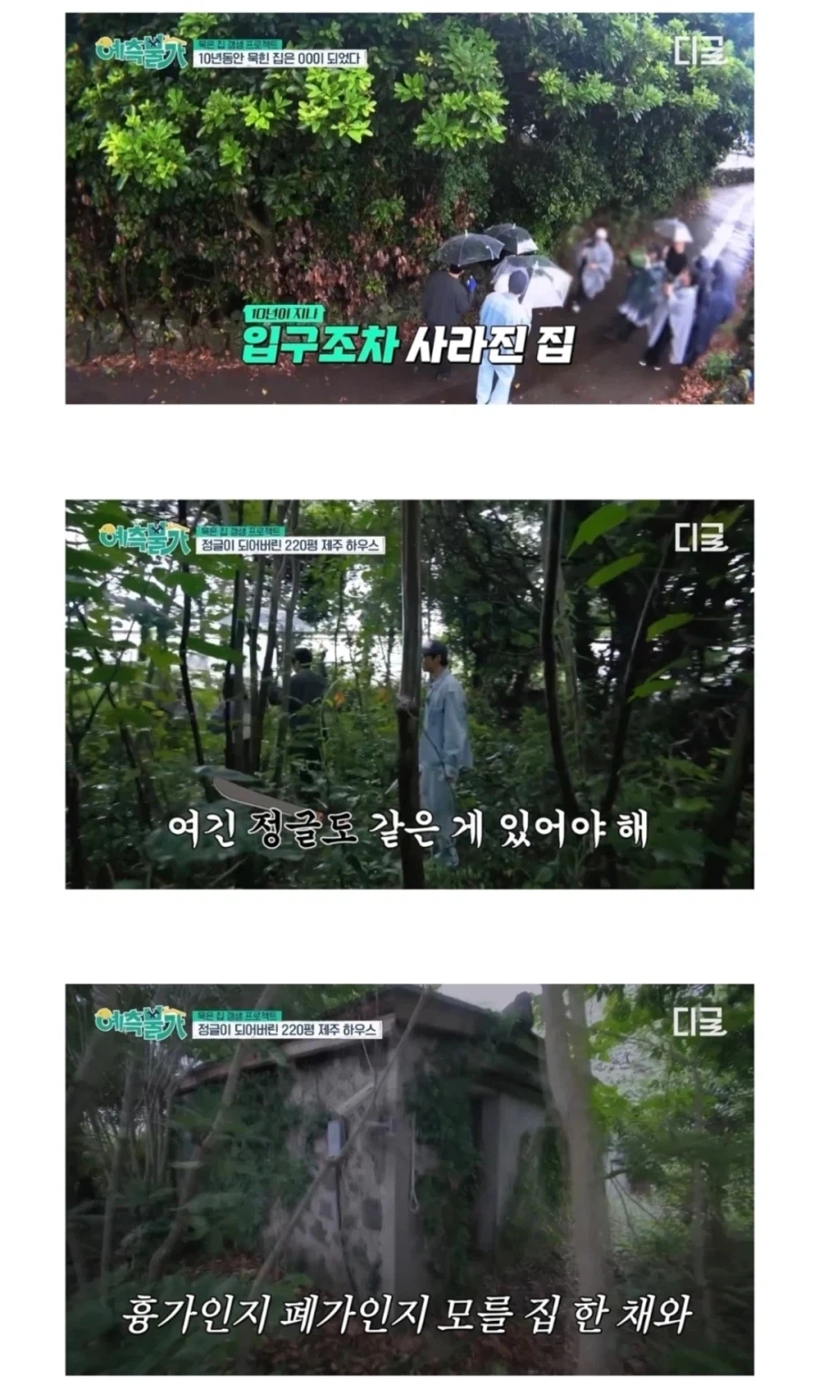 십년 넘게 방치된 김숙 제주도 폐가 ㅁㅊ 상황ㅋㅋㅋ_2.webp