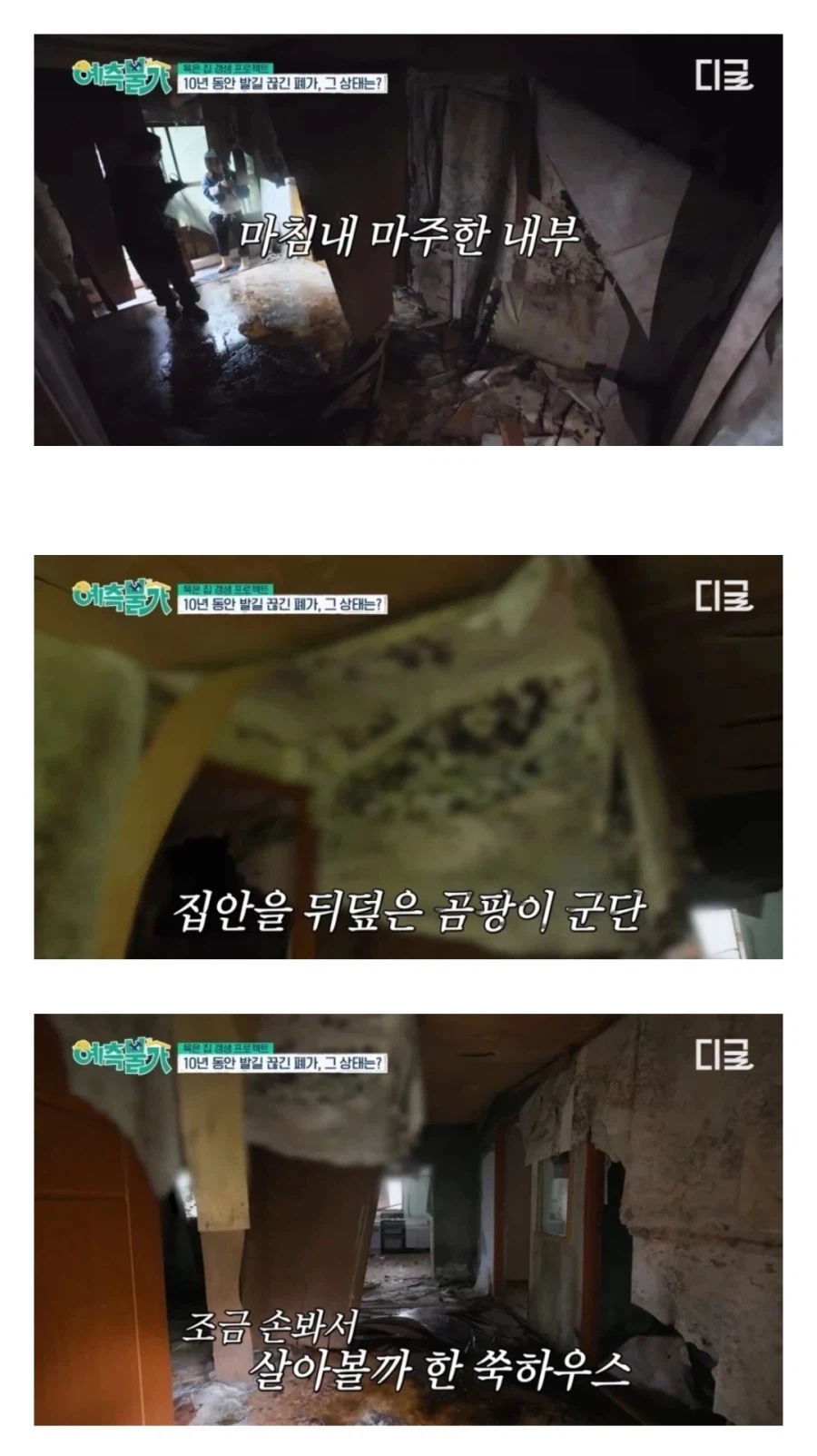 십년 넘게 방치된 김숙 제주도 폐가 ㅁㅊ 상황ㅋㅋㅋ_3.webp