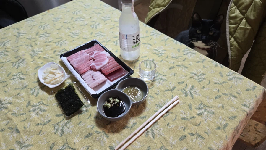 야옹이랑 먹는 참치회_1.webp
