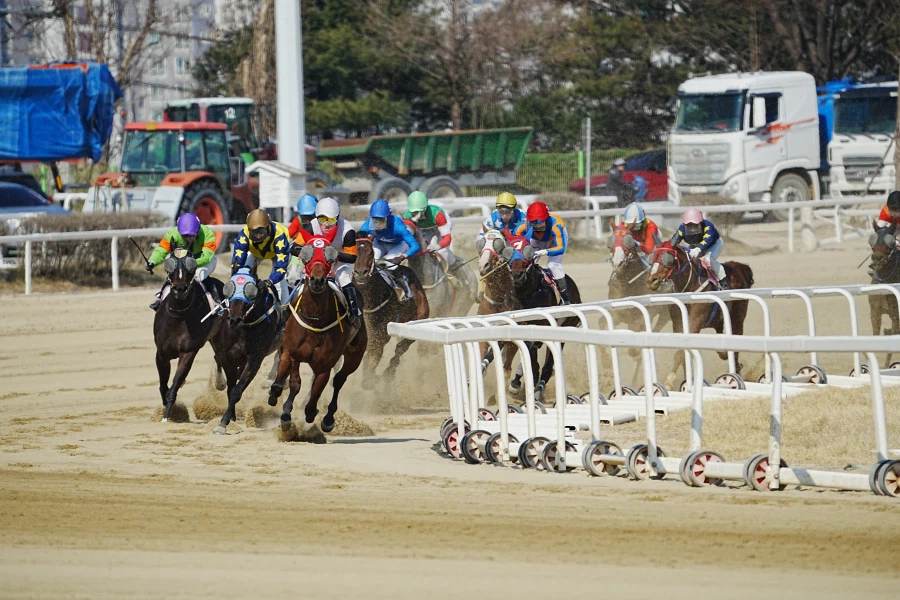 과천 경마장_1.webp
