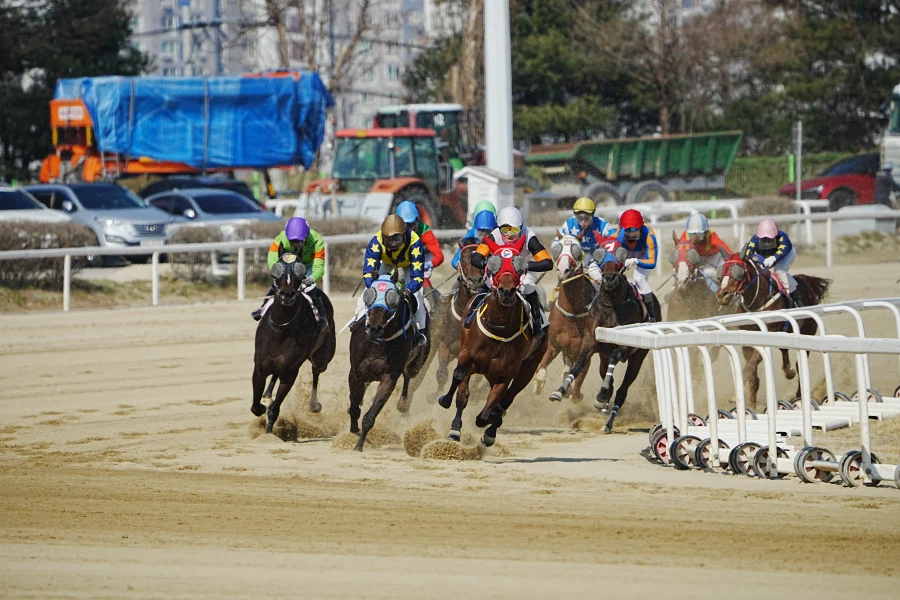 과천 경마장_2.webp