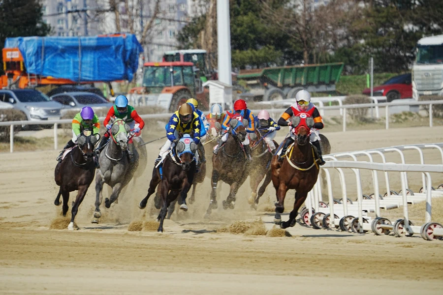 과천 경마장_4.webp