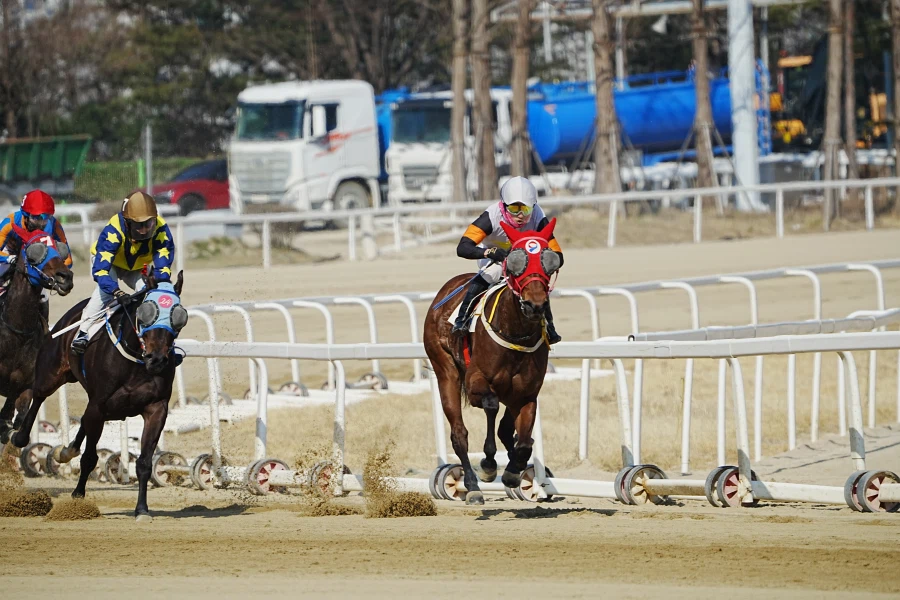 과천 경마장_5.webp