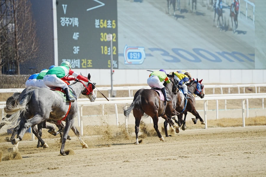과천 경마장_9.webp