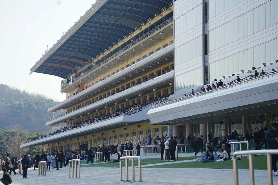 과천 경마장_11.webp