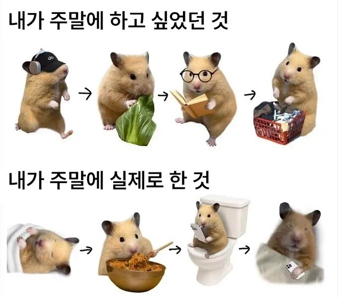 오늘 점심 추천받음_1.webp
