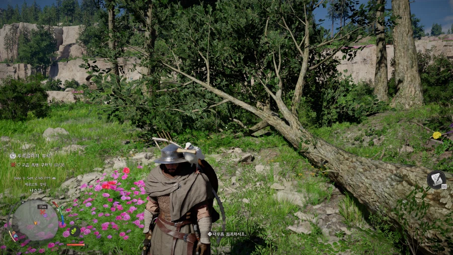 (붉은사막)어깨에 그 새는 뭡니까? 기르시는 건가요?_1.webp