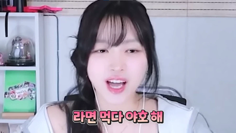 (버튜버)어느 여캠 스트리머가 버튜버를 포기한 이유_5.webp