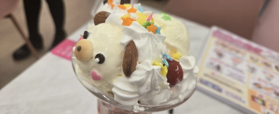 안구주의) 메캎가면 하는짓거리_1.webp