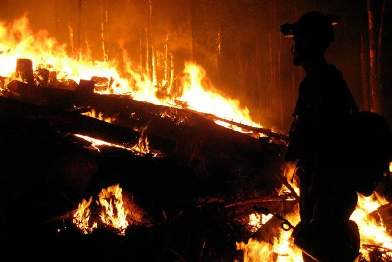 미국에서 엄청난 업적으로 여겨지는 직업 jpg._3.webp