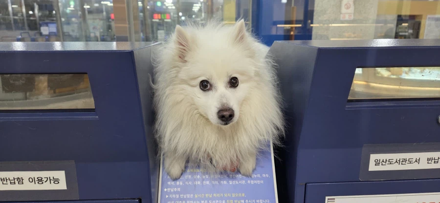 대충 베스트 가고 싶다는 글_1.webp